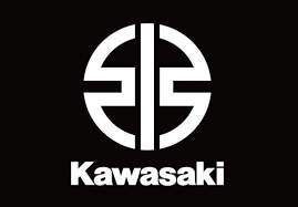 Kawasaki 04-18 Teryx Brute Force Chain