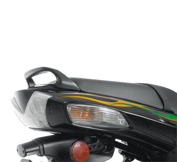 Kawasaki Ninja ZX-14R Motorcycle Passenger Grab Handle Kit