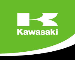 Kawasaki Brake Lever 13236-0807