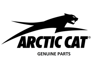 Arctic Cat Genuine Filter - 0470-988